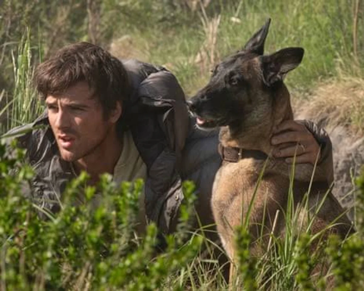 "Dog Stars" REVIEW