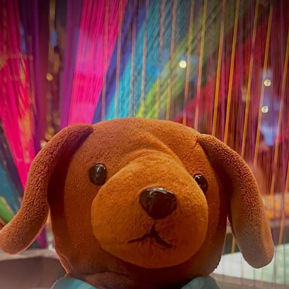 Choco S. on Instagram: "#inlove #louis_vuitton #enjoy #choco #chocoinyour❣️ #chocoinfluencer #chocolovers #beautifullife #friends&family #love #thankful #newspot #pleasure #luxury #delicious #travel #creative #blessing #peace #yourtime #awesome #moments #unforgetable#ceviche #doginfluenser"