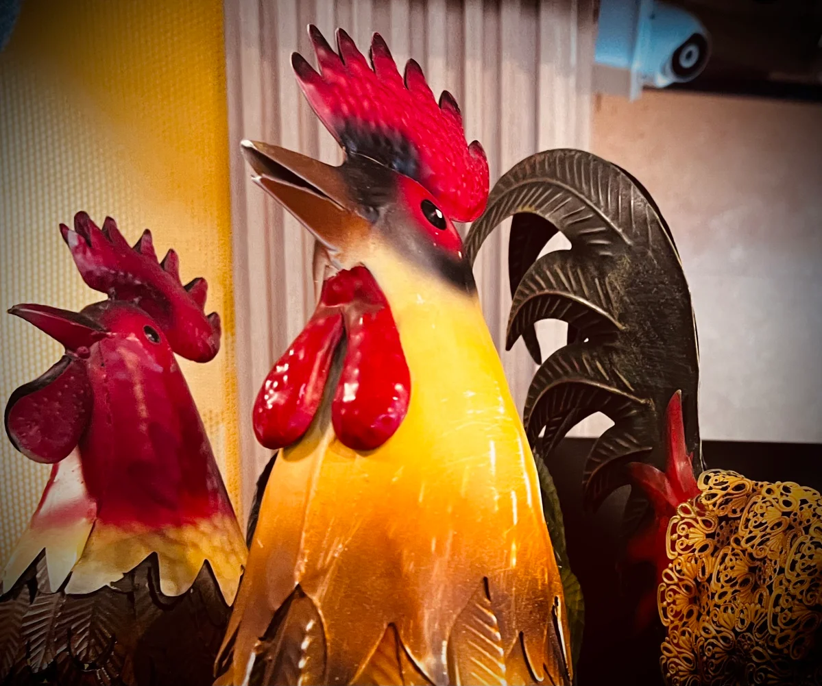 Chicken Home: Sabor Singular a Precios Accesibles