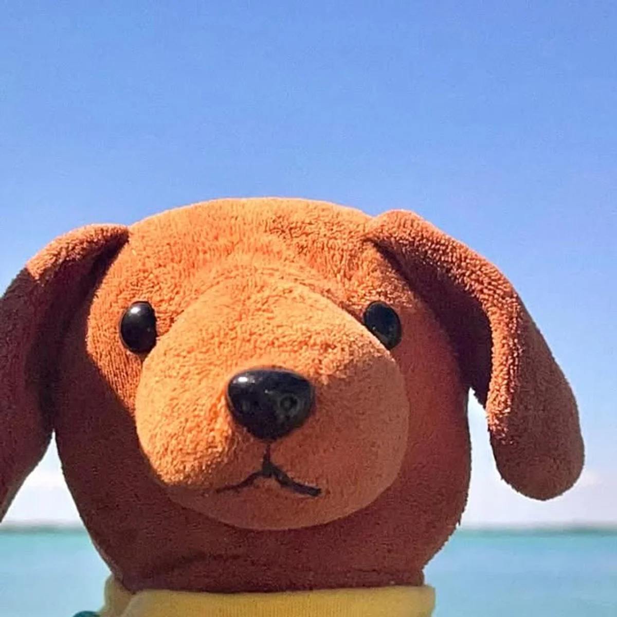 Choco S. on Instagram: "#having #fun #family #friends #sunset @visitkeylargo"