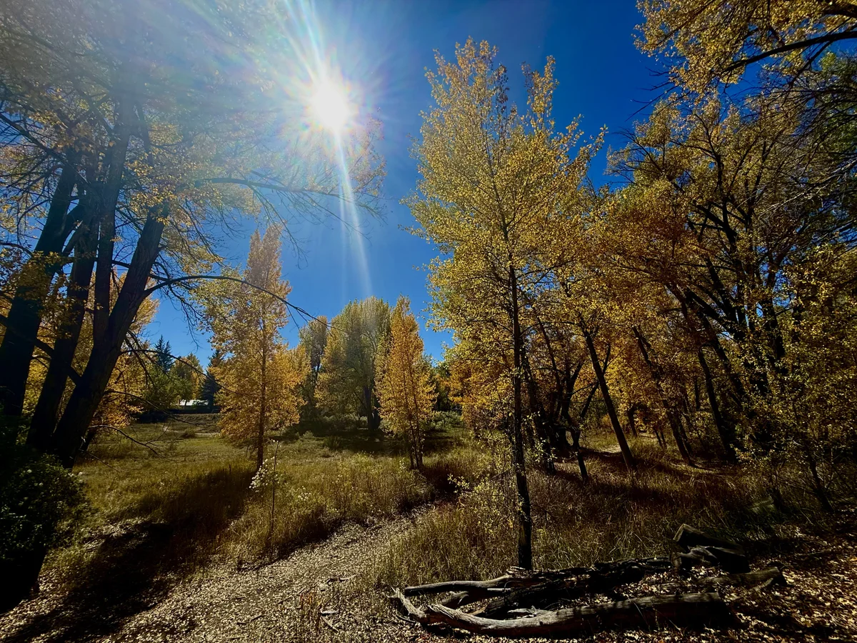 A Rare Fall Show Along The Rio Grande