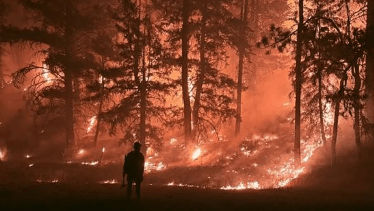 Nationwide, 83 new wildfires reported as crews battle 97 large blazes; 3 killed