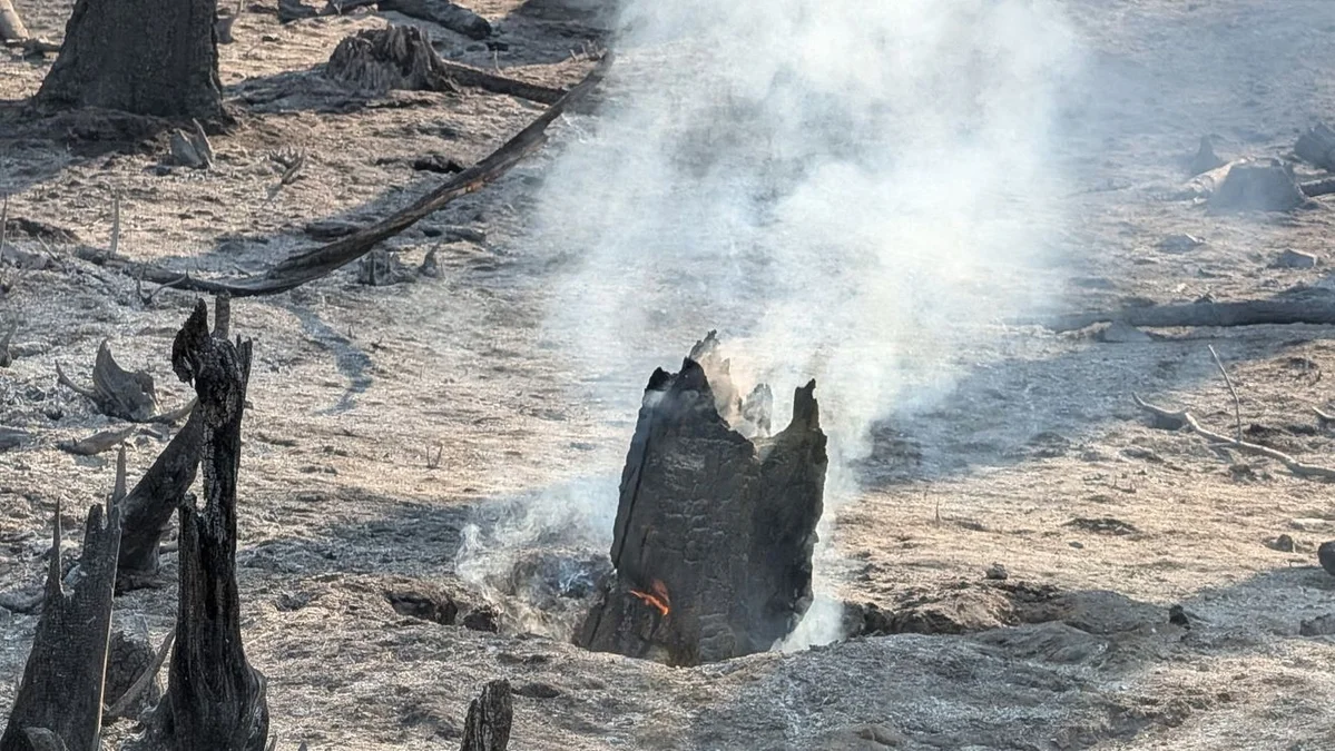Tartar Fire reaches 87% containment at 158,027 acres