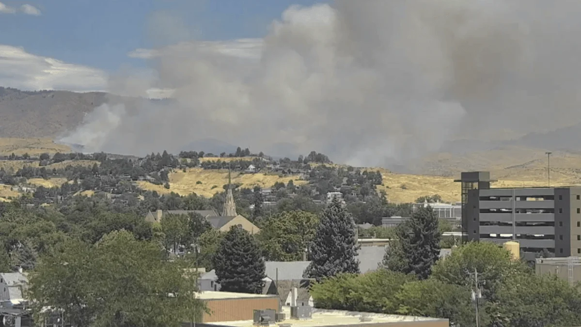 Vegetation fire sparks in the Boise Foothills, grows to more than 1,500 acres
