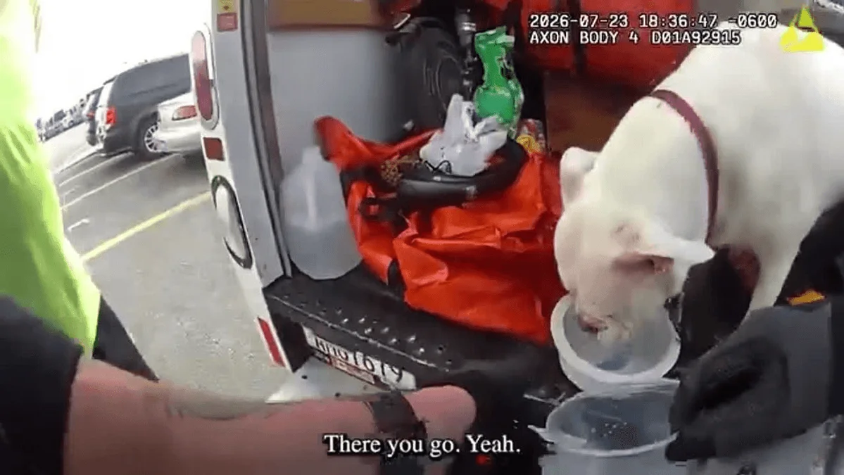 Boise Police officer rescues pets left in the back of a parked moving truck