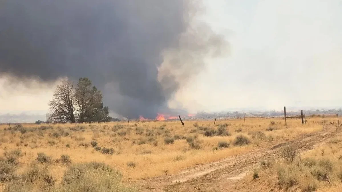 Big Grass Fire burns 300,000 acres near Jordan Valley; 5% contained