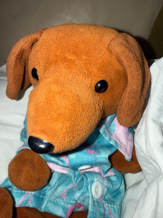 Dogma Grill! A Frank Philosophy