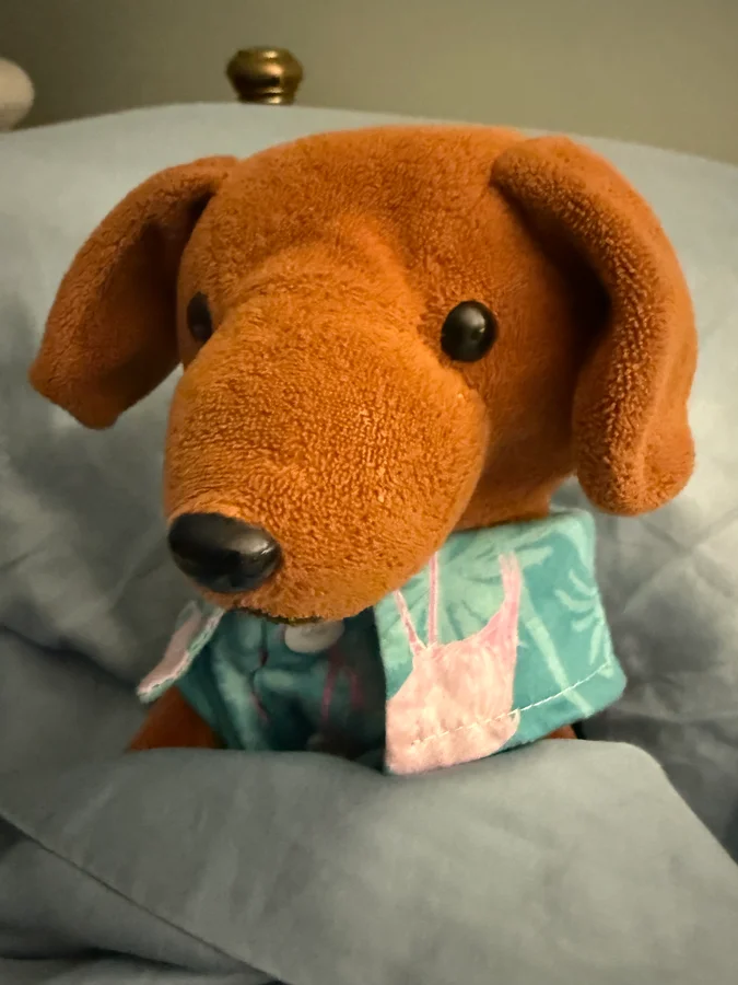 petsuppliesplus.com