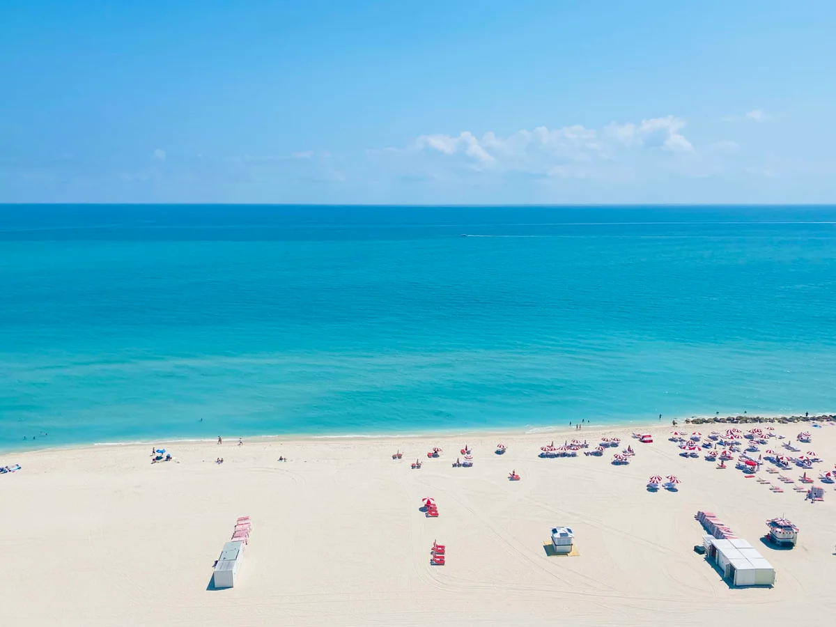 Dora Puig | #1 Miami Beach Luxury Real Estate Agent