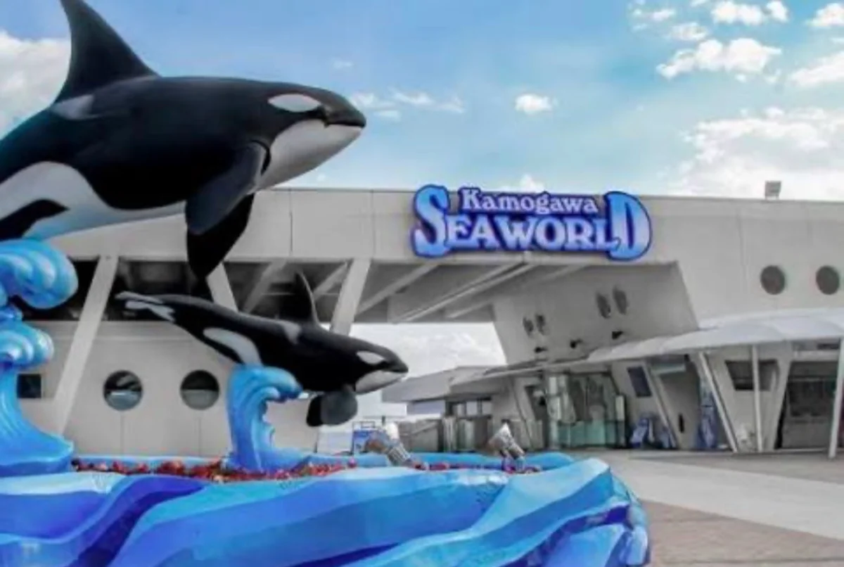 SeaWorld: Visit with Purpose