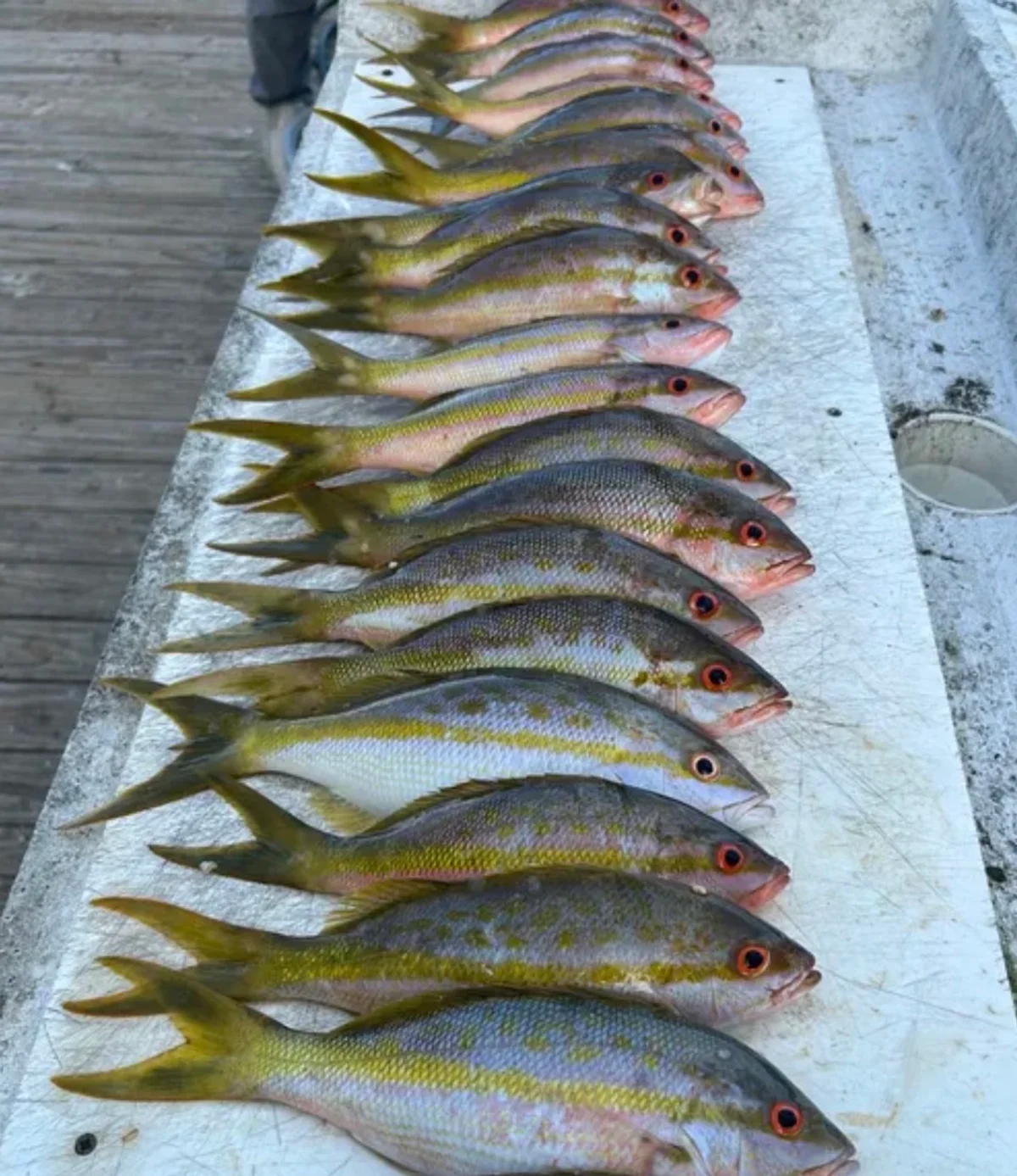 fishingbooker.com