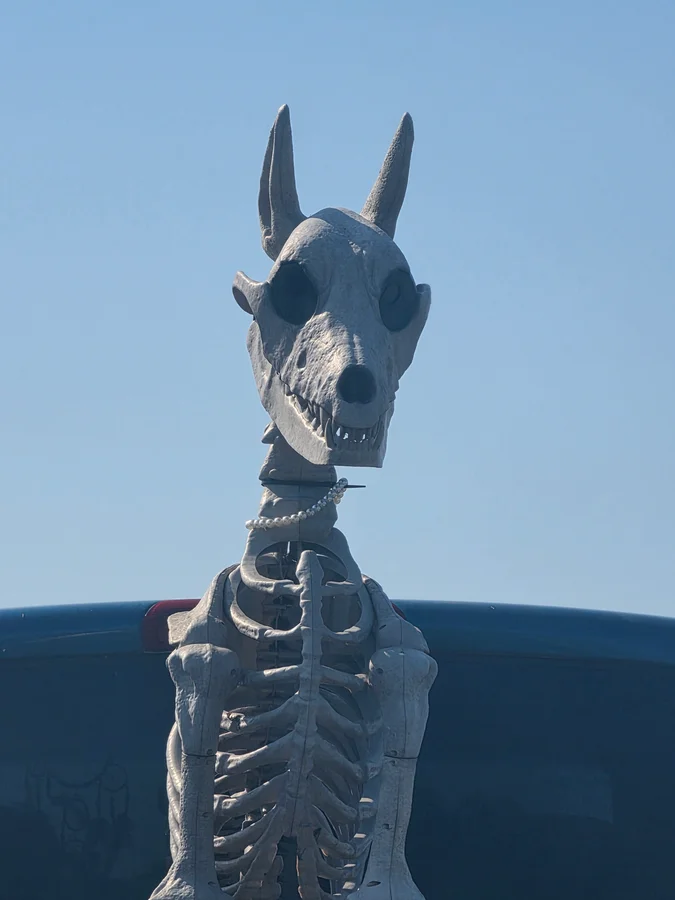 Feds Slaughter Thousands of Outer Banks Horses